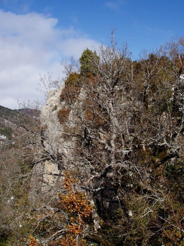 Betutagañako talaia