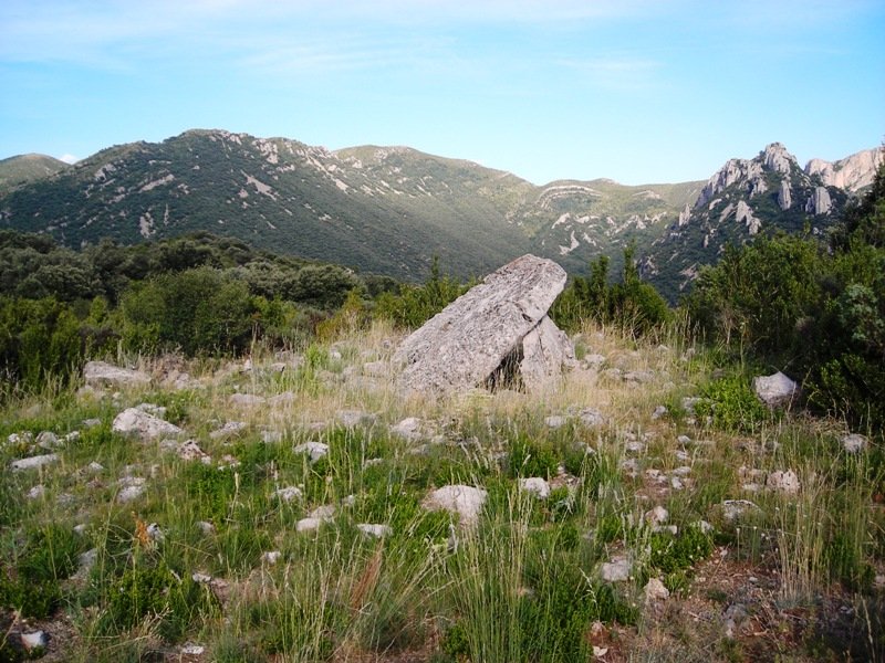 La Piatra trikuharria