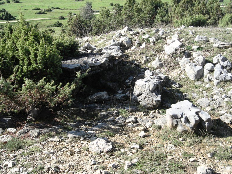 Itaida ipar trikuharria