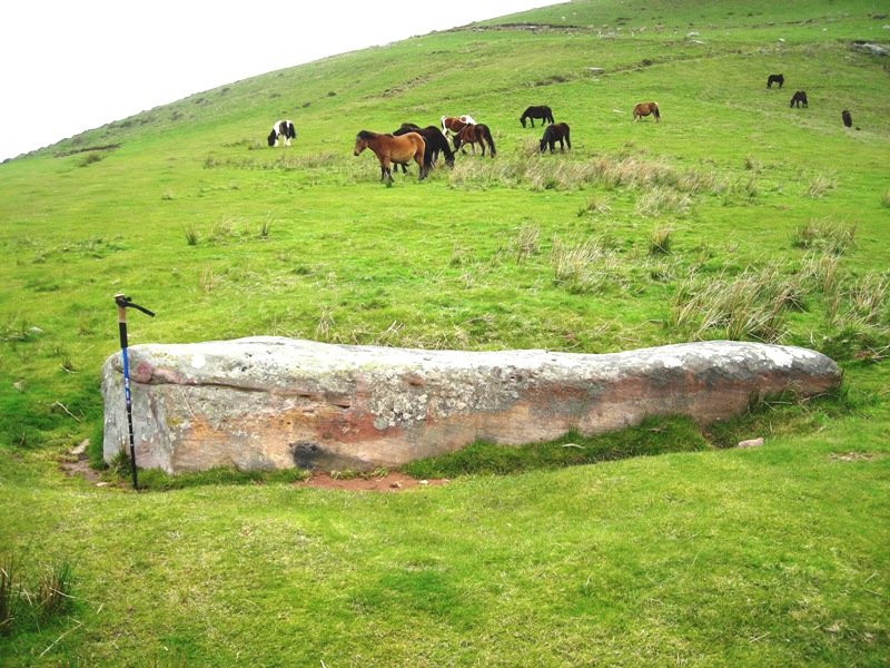 Artzamendi  zutarria