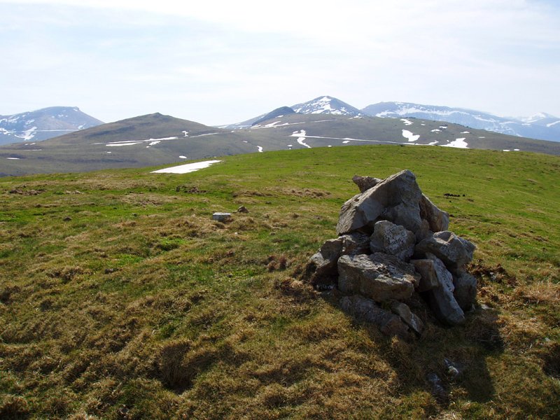 Beillurtiko gailurra