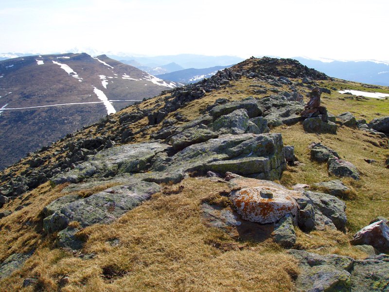 Leizatekako gailurra