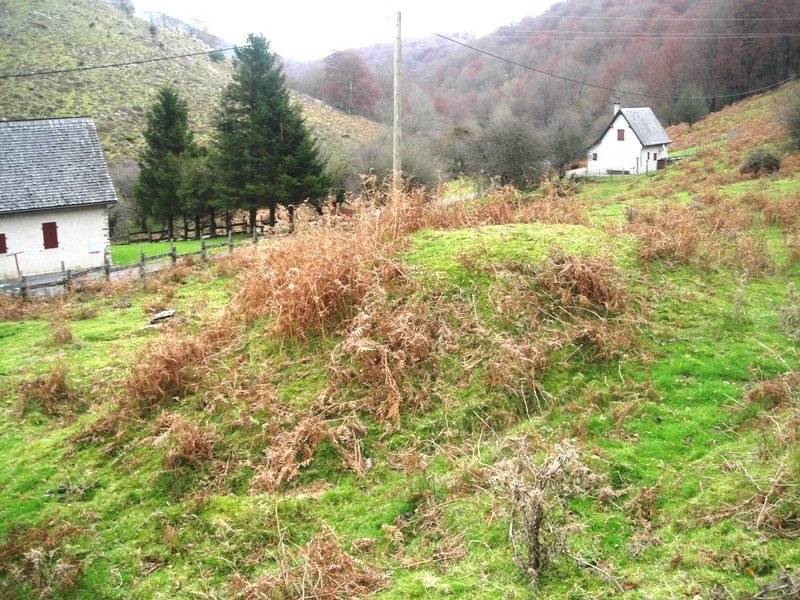 Arangaitz ekialde  etxola hondoa