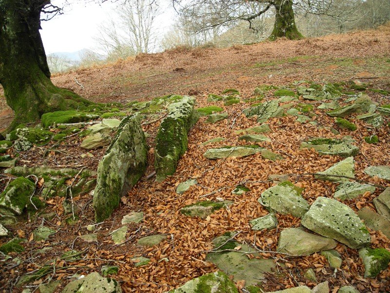 Jeneralaren Tonba trikuharria