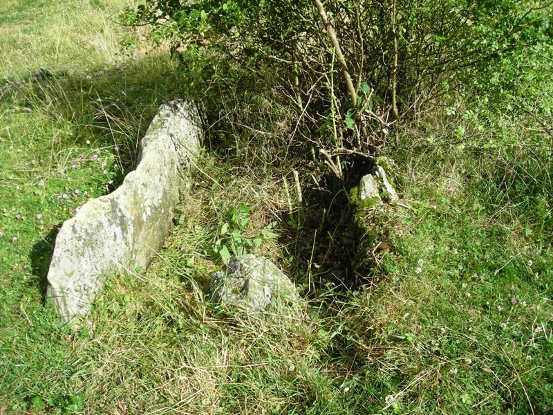 Puente de los Troncos oeste trikuharria