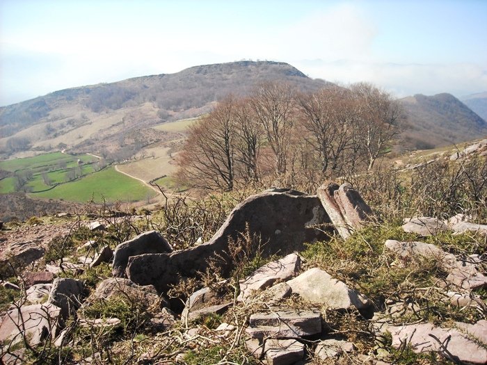 Legate 1  trikuharria