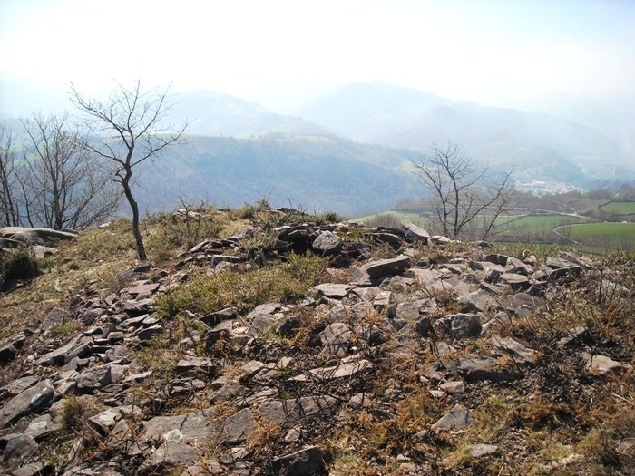 Xaldarri 2 hego trikuharria