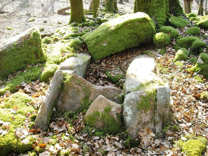 Artola 1 trikuharria