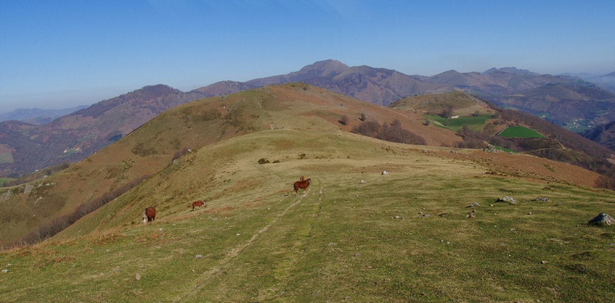 Otsamunho eta Otsatxar Mizpirako lepotik