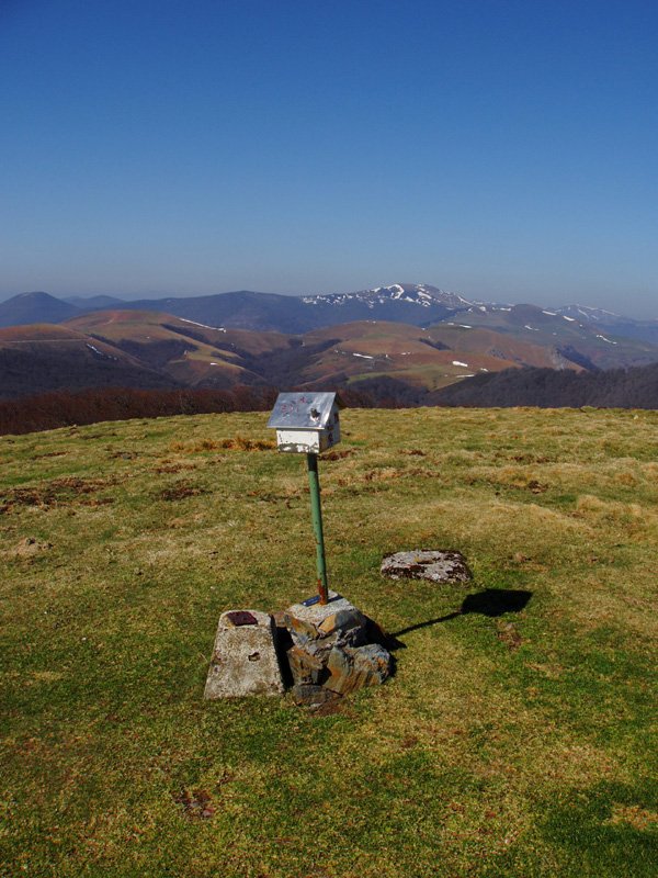 Girizuko txartelontzia