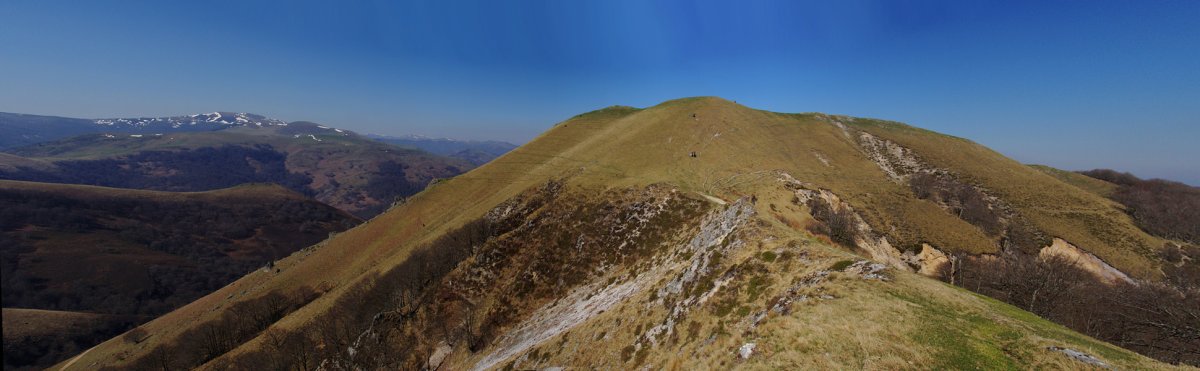 Urtarai Burdinkurutxetako lepotik