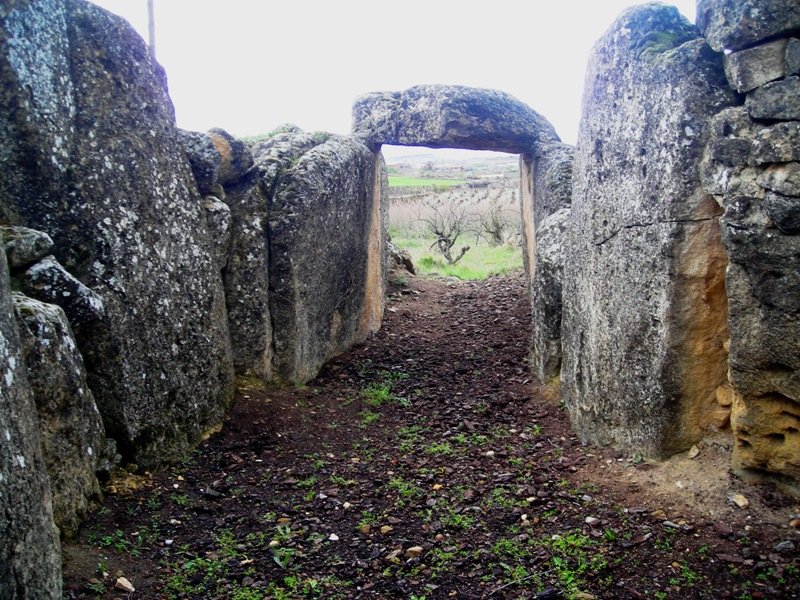 San Martín trikuharria