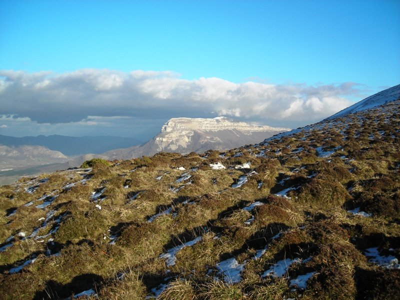 Arbotton tumulo de anillo
