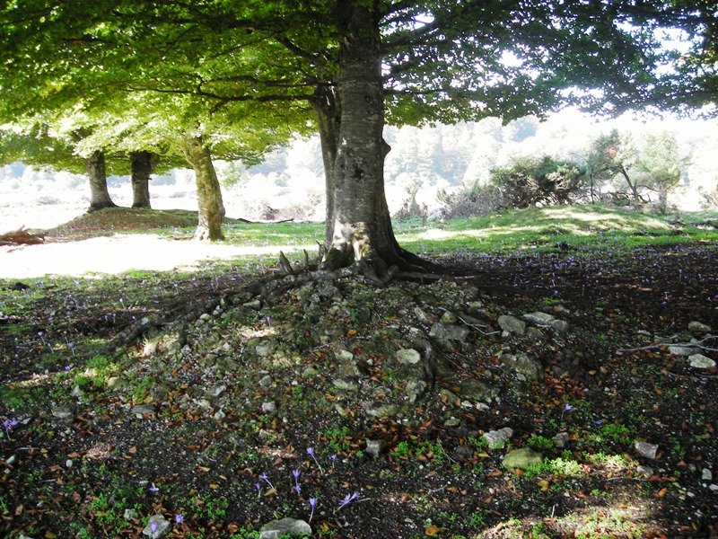 Ostalaza 2 eremu tumularra