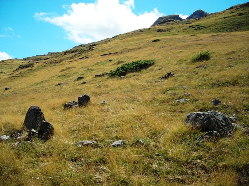 Colladeta Campanil Sur harrespila
