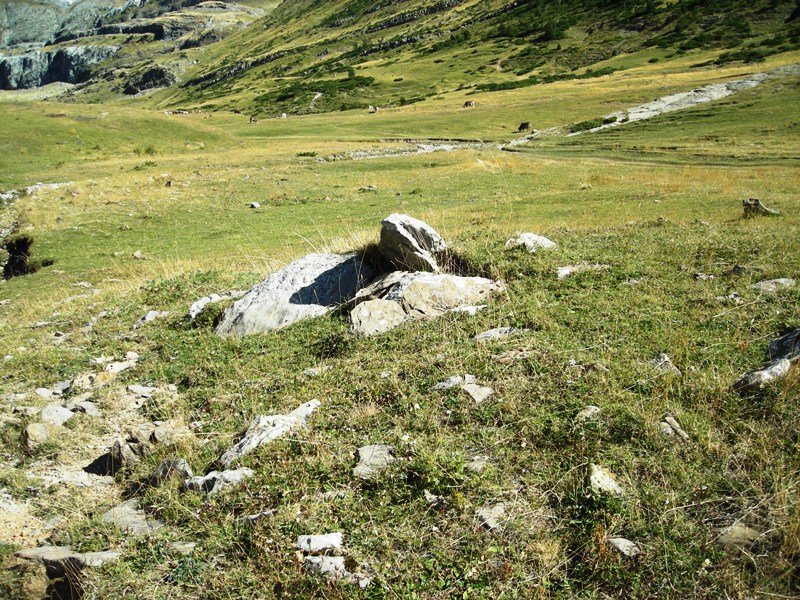 Barranco de Igüer trikuharria