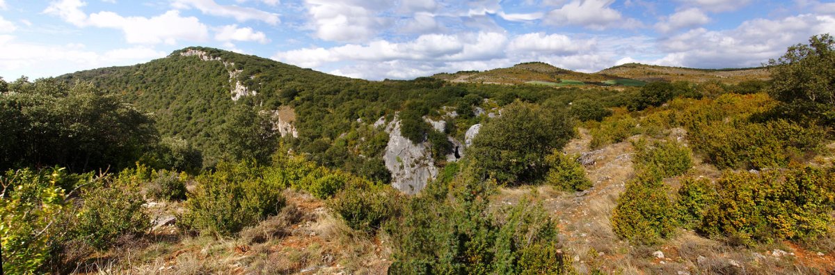 Boluntza-Petrina Peñaskatik (La Foz ere ikus daiteke)