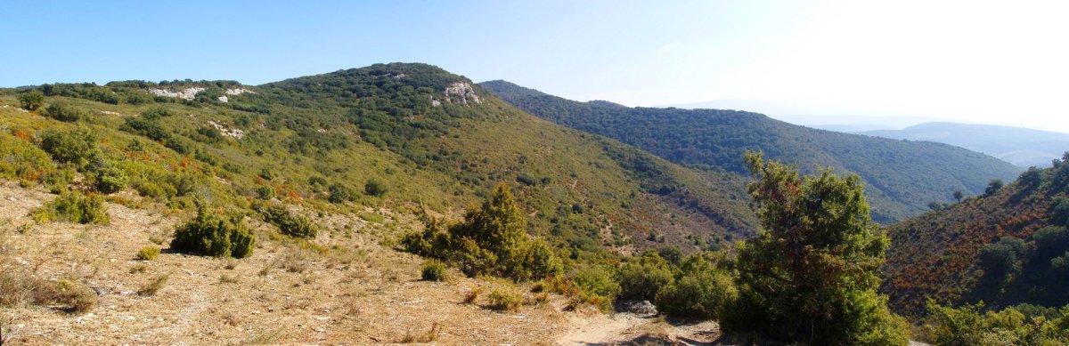 Boluntza-Petrina mendebaldeko lepotik 