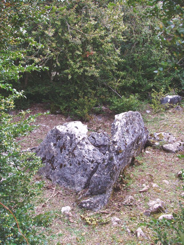 Balsa del Portillo de Ollate trikuharria