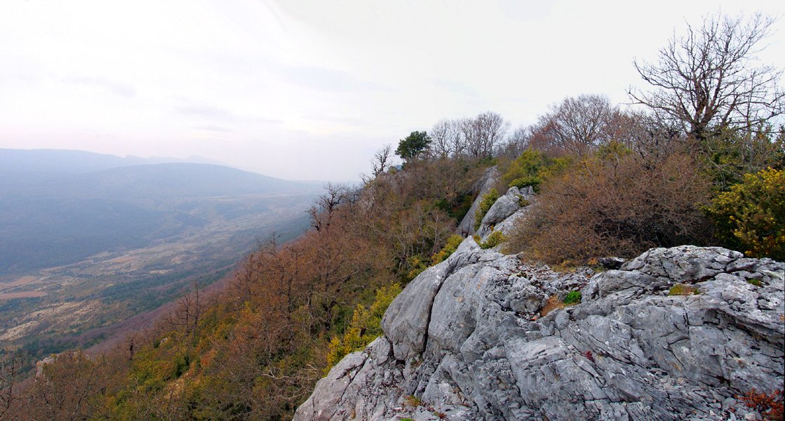 Leziñerako gandorra