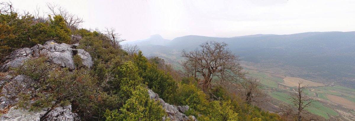 Leziñerako gailurra