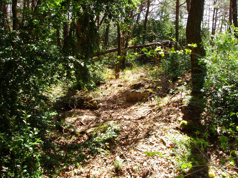 Kabilarte, sasi artean erdi ezkutaturik