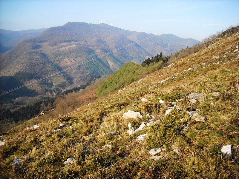 Latargi 2 trikuharria