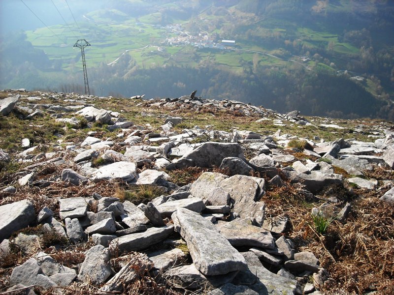 Latargi  7  trikuharria