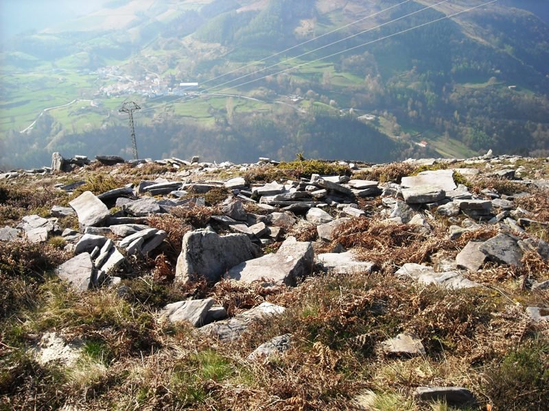 Latargi  9  trikuharria