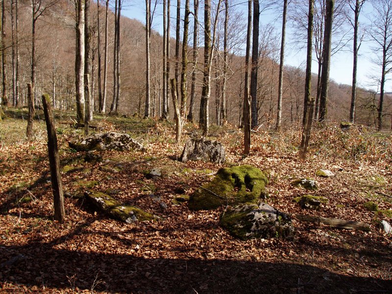 Pitxortzarko gaina 3