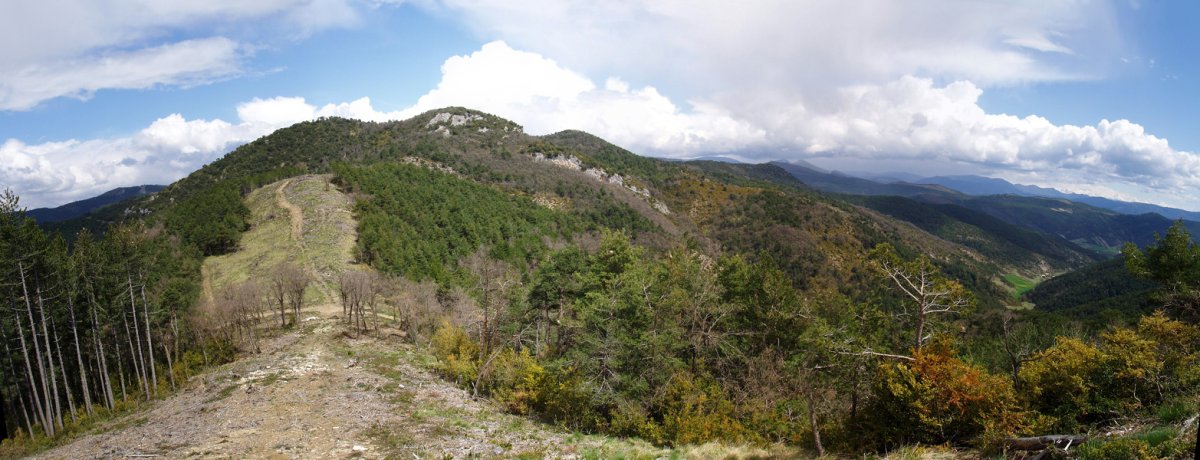 Belogain Quiñones gainatik ikusita