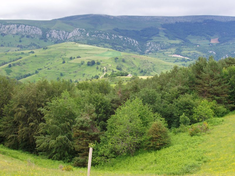 Abodiko gainak hurbil izanen ditugu