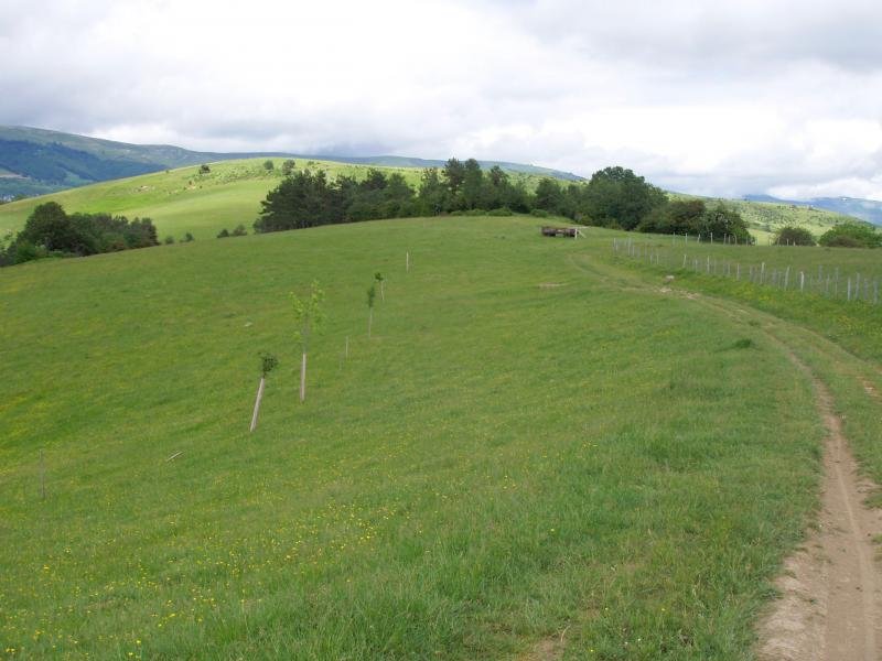 Udiko gainalde leuna