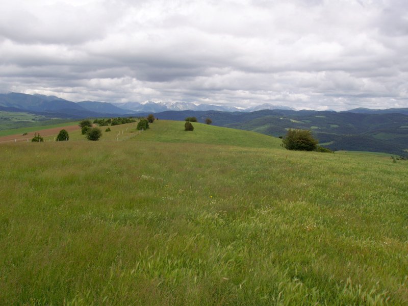 Udiko gailurretiko paisaia zabalak