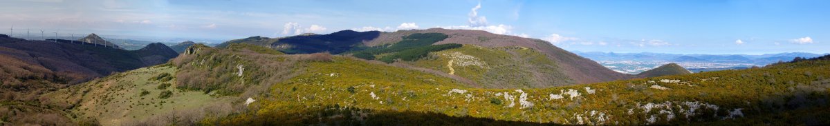 Alaitz mendilerroa eta Iruñerria