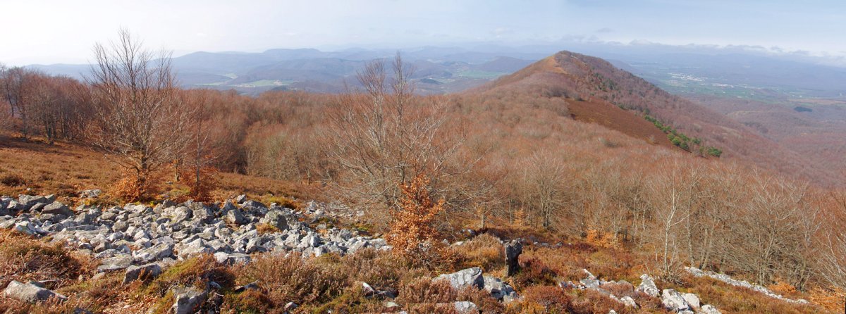 Apordoki Urdanatzetik