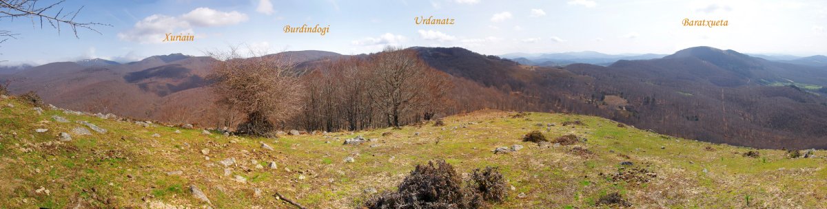 Anueko Oihaneko mendien panoramika Apordokitik