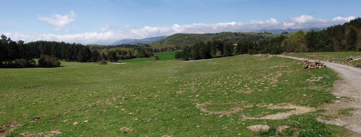 Erremendiako goi ordokia