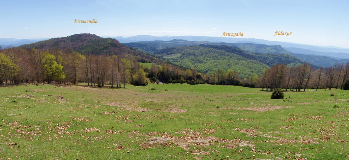 Borrokoxkoko gainaldetiko ikuspegia