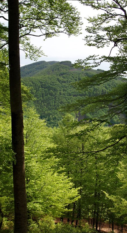 Xurain eta Iturrondo mendiak Kedarbeko pagoen artean