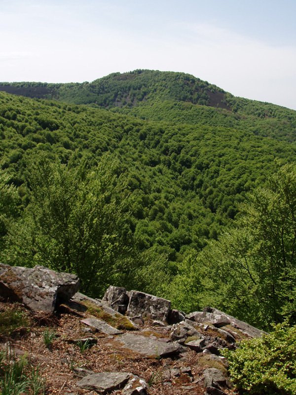 Apordoki, iparraldeko isurialdea