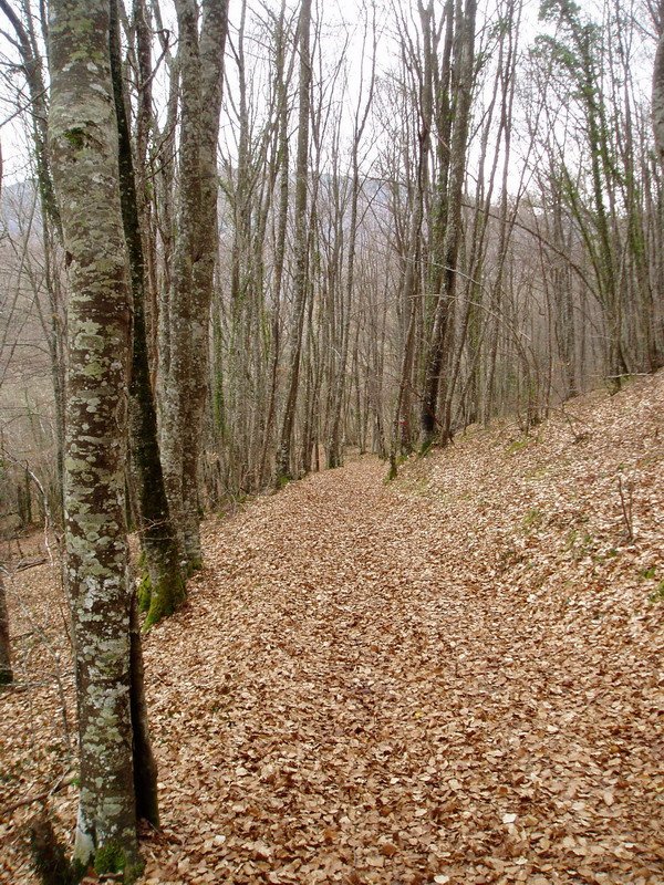 Villabásconesetik Las Pisasera doan bidea