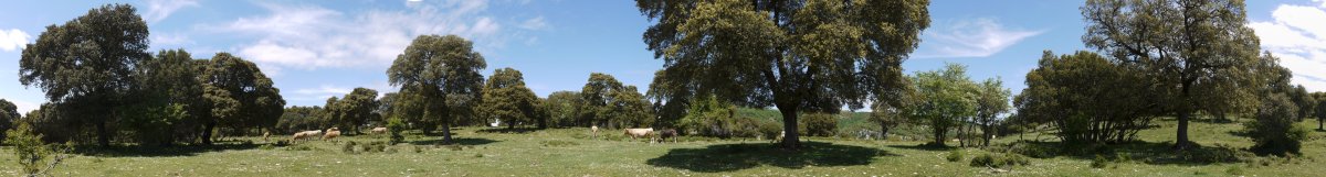 Tontorraren mendebaldeko lepoaren inguruak