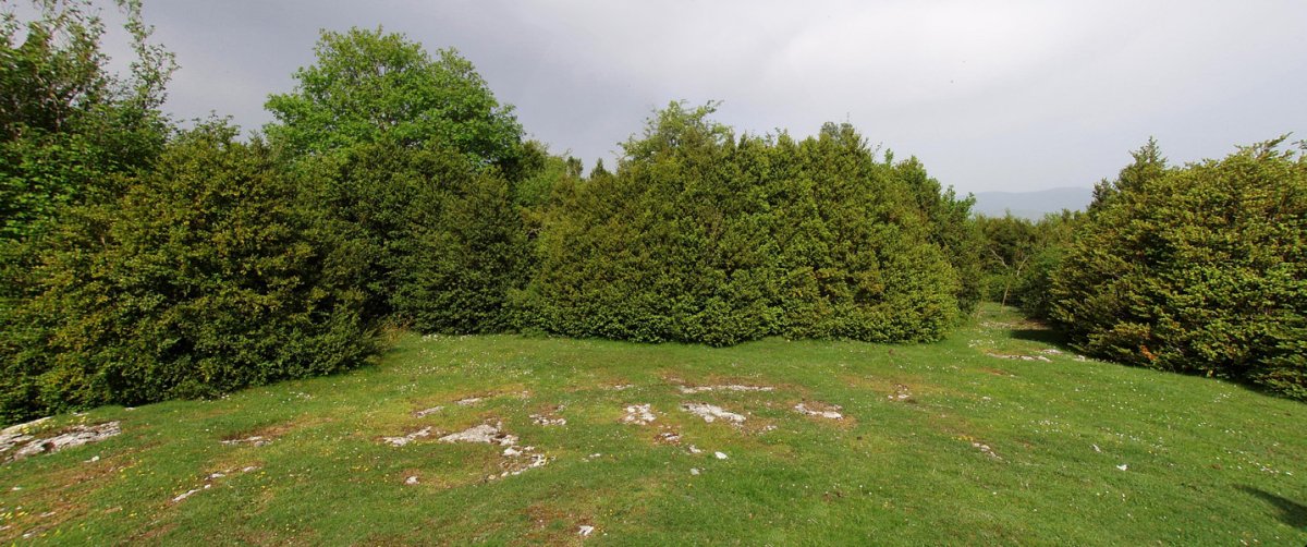 Ezpel harresi baten atzean ezkutaturik dago Balanketa