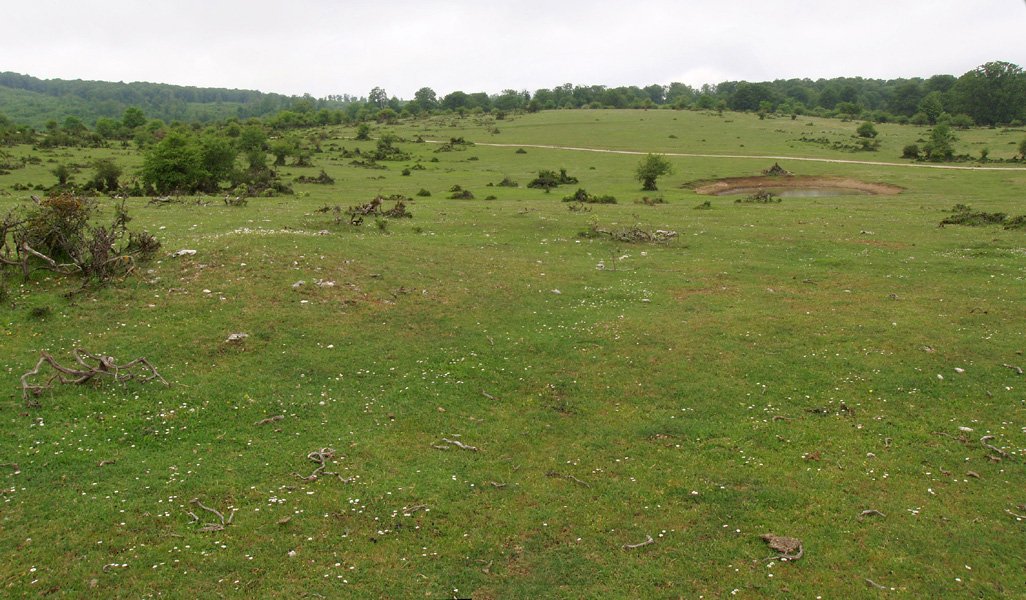 Balsas del Corral de Narciso