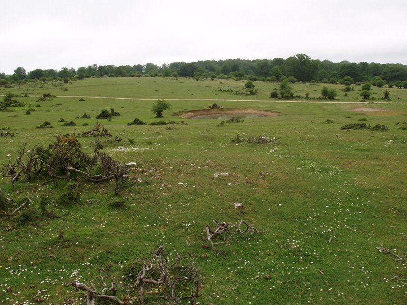 Balsas del Corral de Narciso