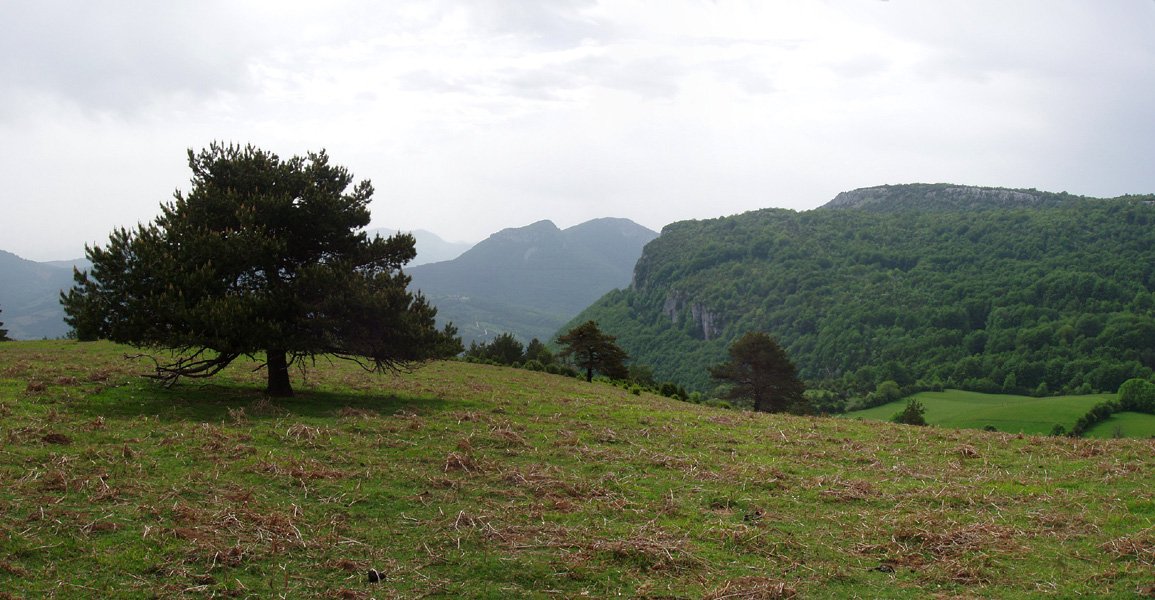 Elke eta Aintzioa Ligarrietako gailurretik (1130m)