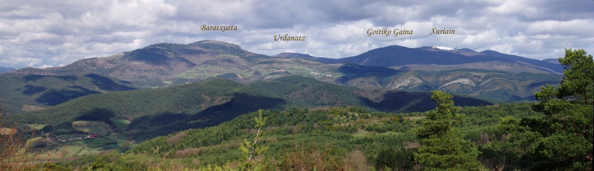 Baratxuetako mendikatea