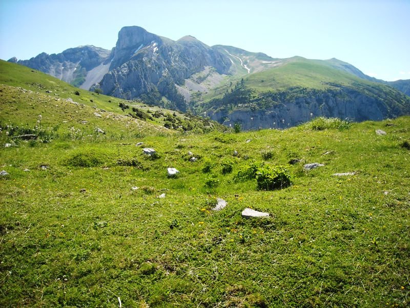 Loma de Chitón trikuharria