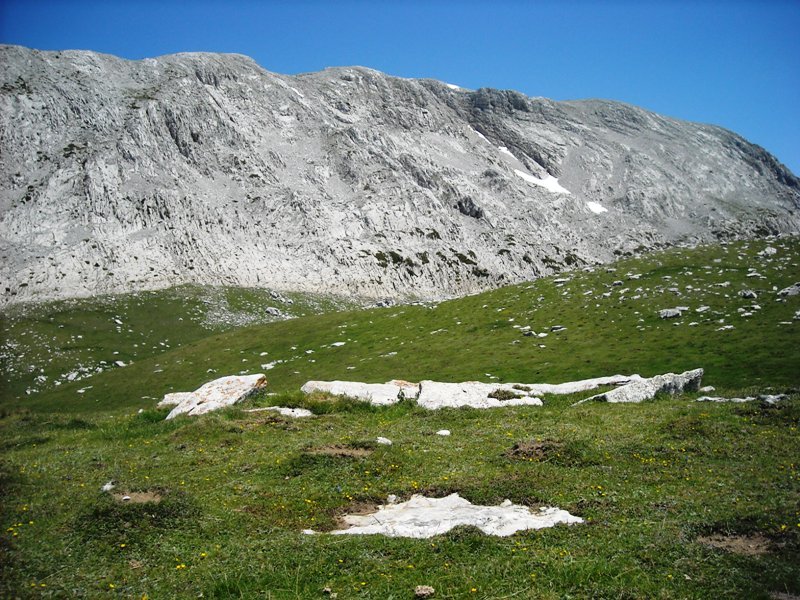 Solano de Ezkaurre trikuharria